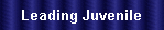 Leading Juvenile
